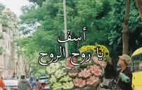 تسامح للمتزوجين