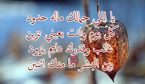 صور شعر عن غياب شخص غالي