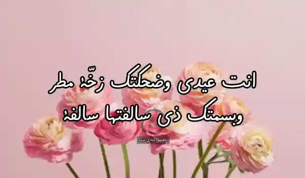 صور مقال شعر عن العيد للحبيب