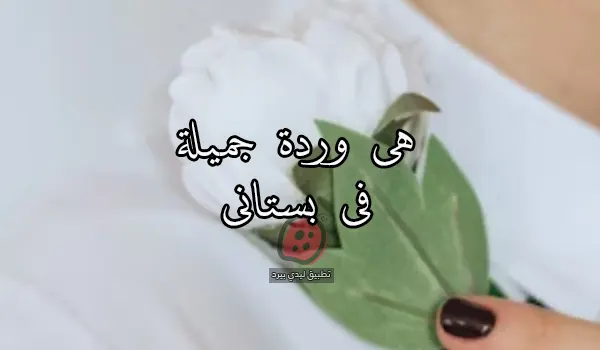 صورة مقال كلمات رقيقة للحبيبة