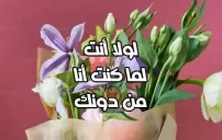 عبارات مدح لولا أنت لما كنت أنا من دونك