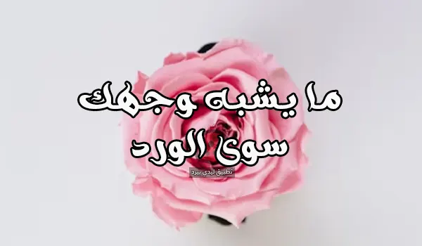 صورة مقال عبارات غزل جمال الوجه