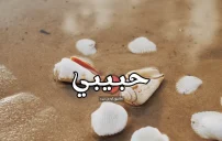 صورة مقال كلام عن حبيبي