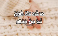 رد على مولود جديد